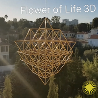 Fine FLOWER OF LIFE 3D by Nassim Haramein, Himmeli Hanging Polished Brass Mobile Home Decor - litha-creations-france